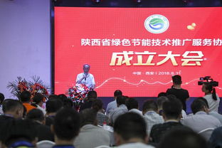 陜西省綠色節(jié)能技術(shù)推廣服務(wù)協(xié)會(huì)計(jì)算機(jī)系統(tǒng)服務(wù)分會(huì)隆重成立